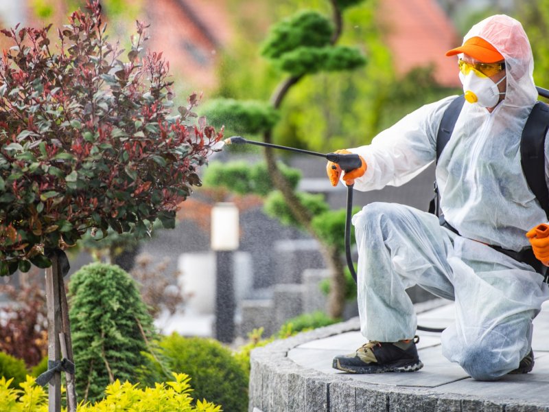 Erdemli Haşere İlaçlama